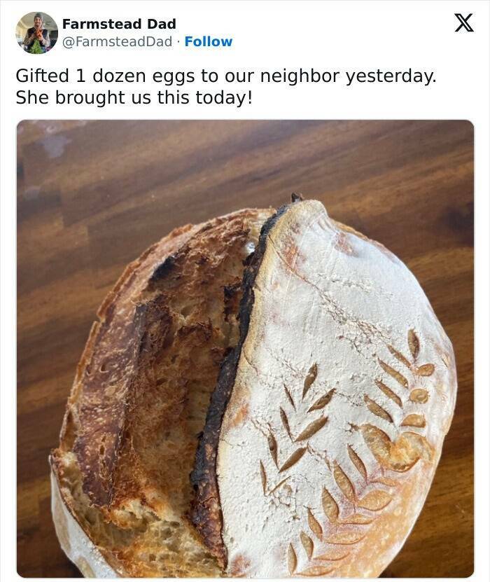 Wholesome Neighbors That Melt Our Hearts