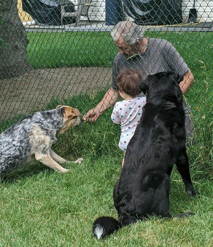 Wholesome Neighbors That Melt Our Hearts