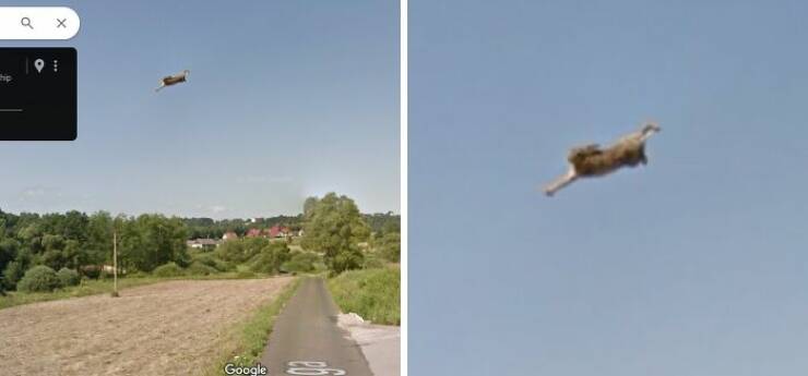 Hilarious Moments Captured by Google Street View