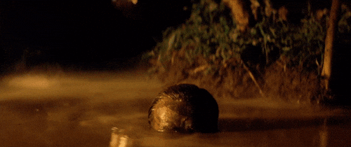 Cinema’s Most Beautiful Masterpieces, According To Fans