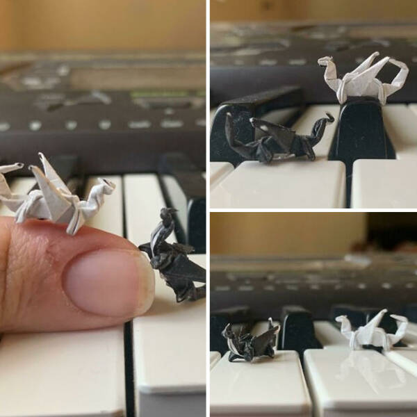 Adorable Pics Of Miniature Things