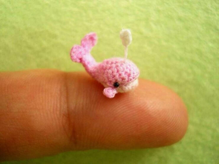 Adorable Pics Of Miniature Things