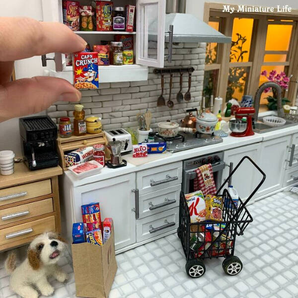 Adorable Pics Of Miniature Things