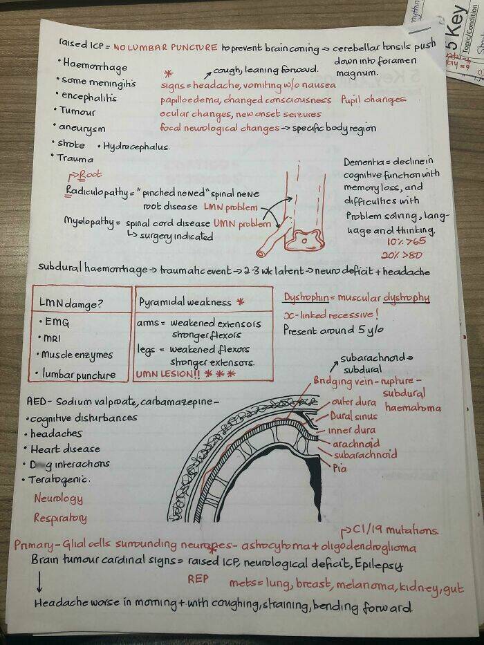 Handwriting So Perfect, It’s Practically Art