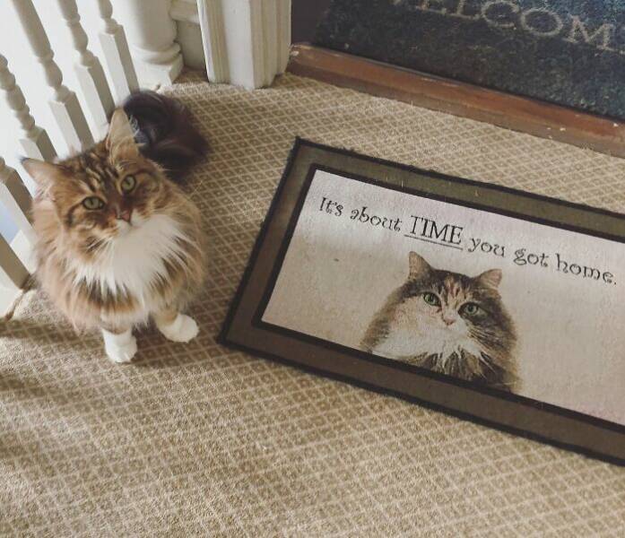 Hilarious Doormats That Make The Best First Impression