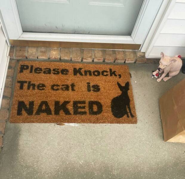 Hilarious Doormats That Make The Best First Impression