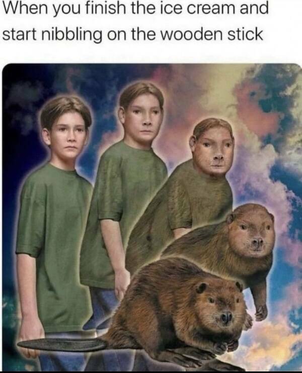 Food Memes That’ll Leave You Hungry For More