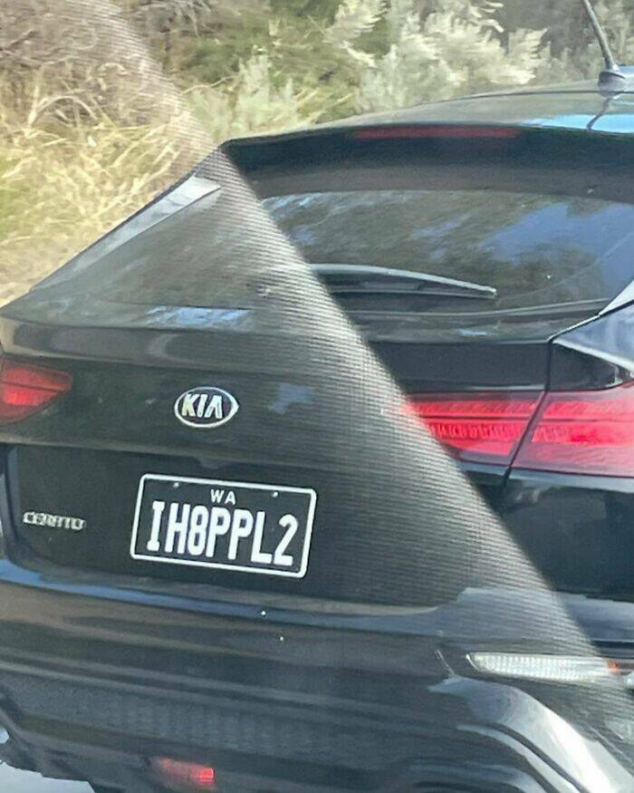 The Wild World Of Custom License Plates