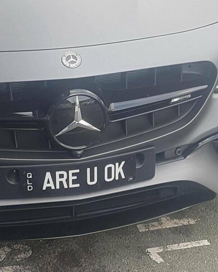 The Wild World Of Custom License Plates