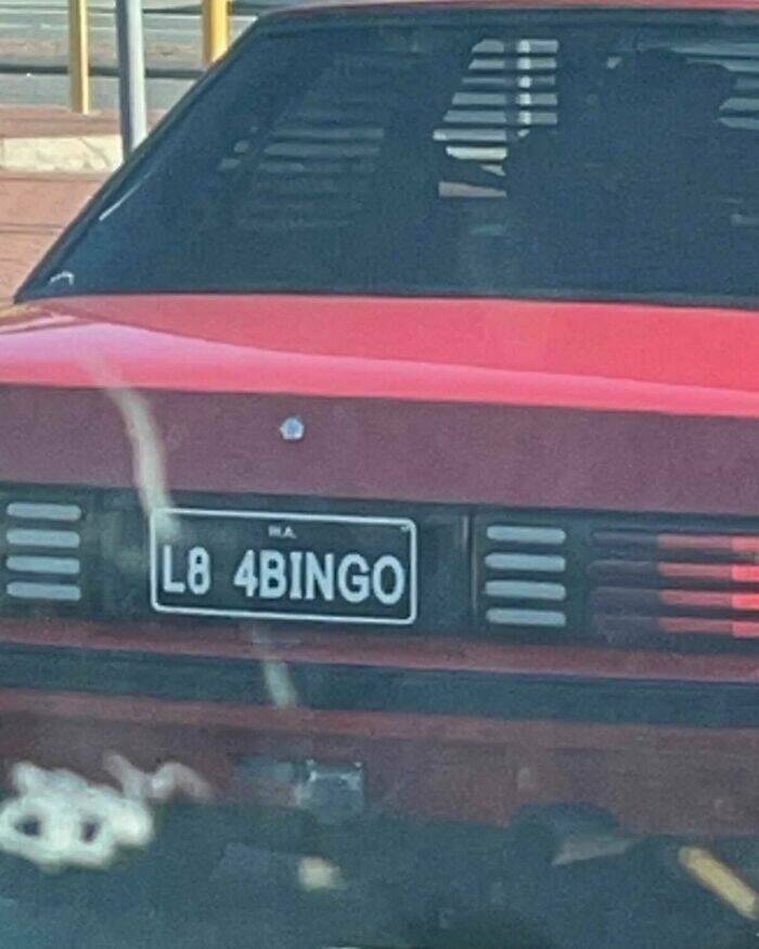 The Wild World Of Custom License Plates