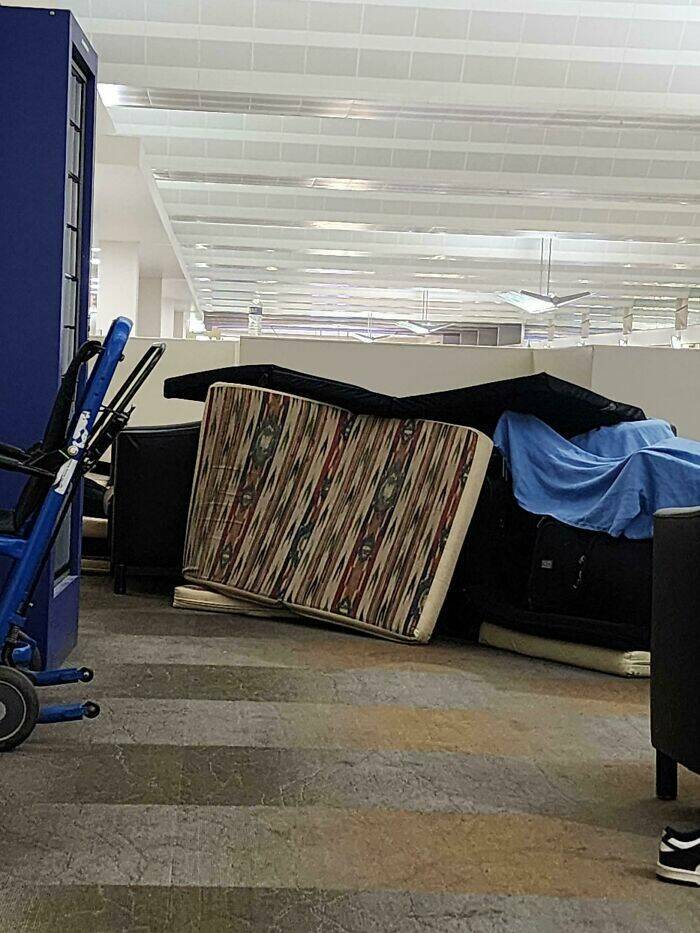 Plane Passengers Who Took Annoying To New Heights