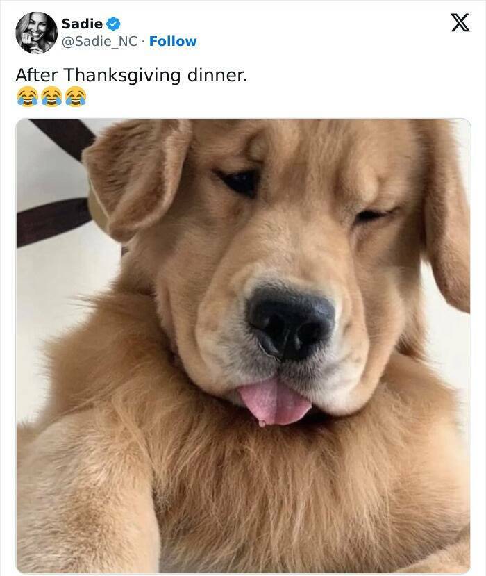 The Funniest Thanksgiving Tweets