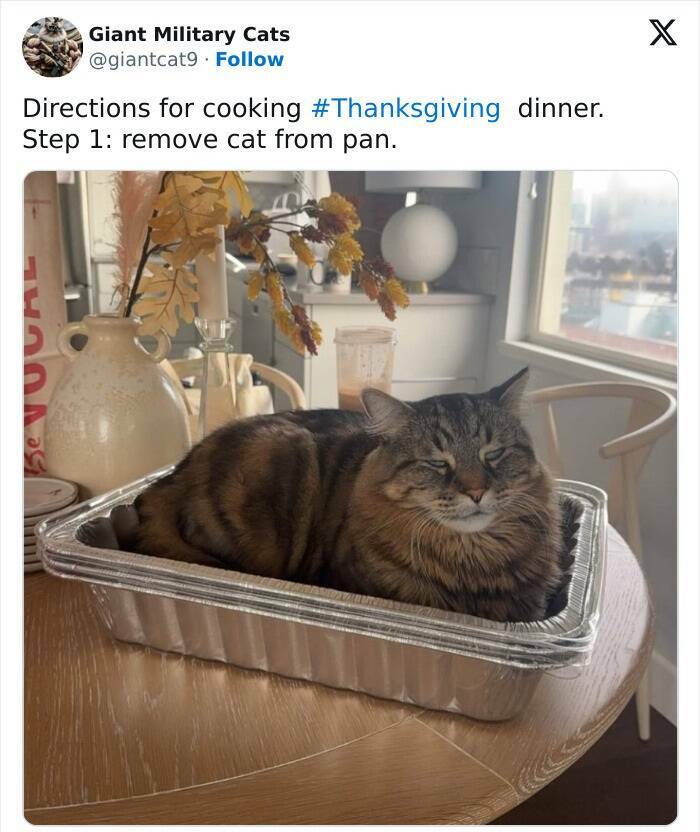 The Funniest Thanksgiving Tweets