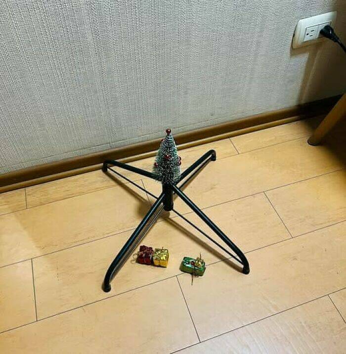 Unhinged Photos You Can’t Help But Find Hilarious Unhinged Photos You Can’t Help But Find Hilarious