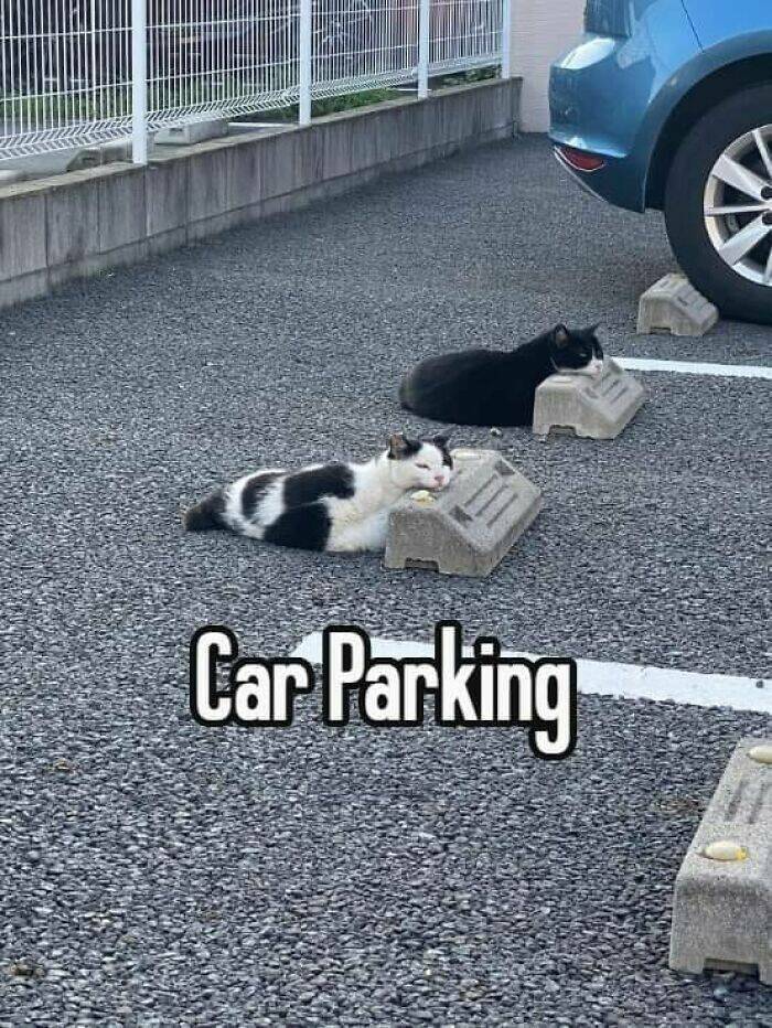 Unhinged Photos You Can’t Help But Find Hilarious Unhinged Photos You Can’t Help But Find Hilarious