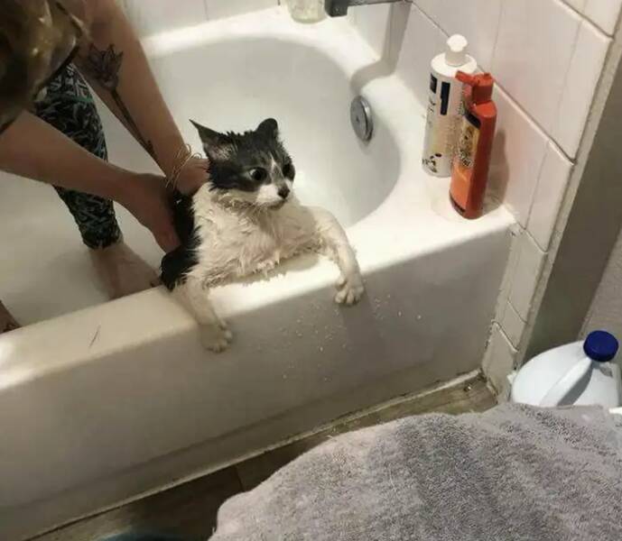 You’ll Feel Bad For Laughing, But These Moments Are Too Funny