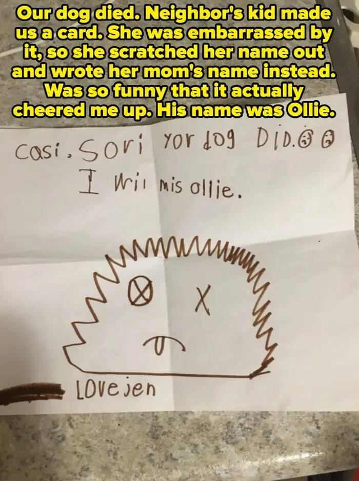 You’ll Feel Bad For Laughing, But These Moments Are Too Funny