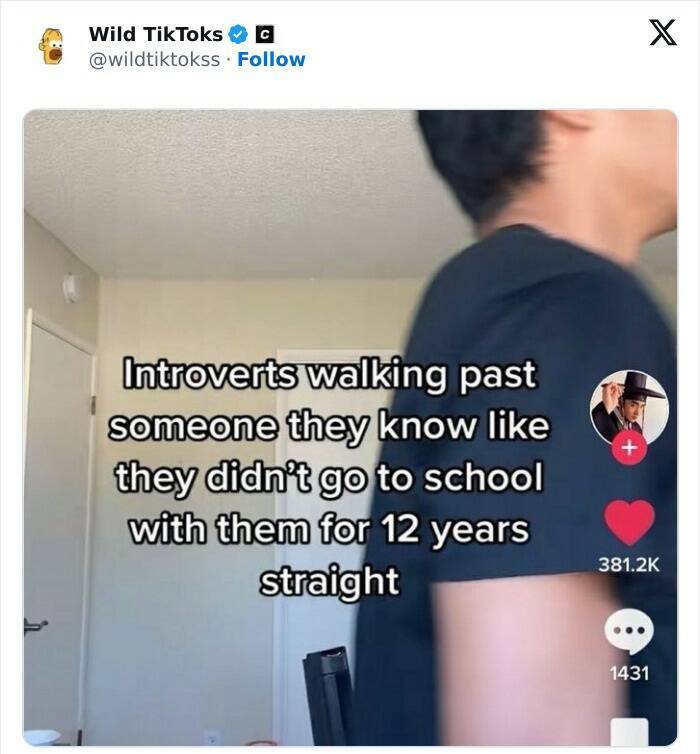 Unhinged TikTok Screenshots That Defy Explanation