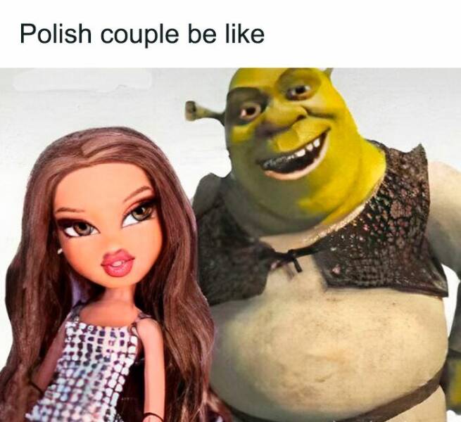 Hilarious Memes Only Poland Could Deliver