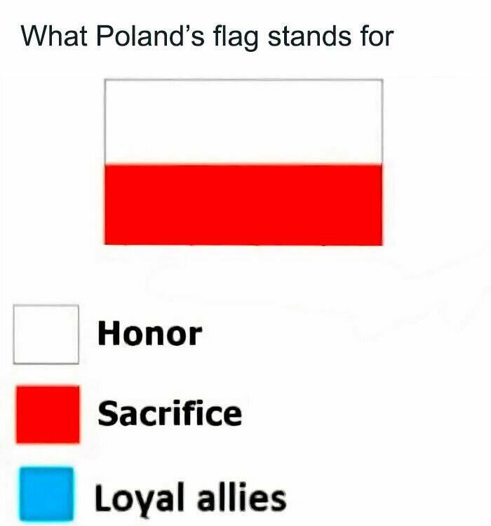 Hilarious Memes Only Poland Could Deliver