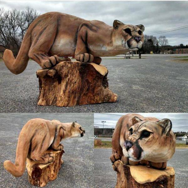Impressive… Very Impressive…
