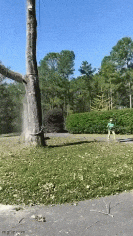 Impressive… Very Impressive…