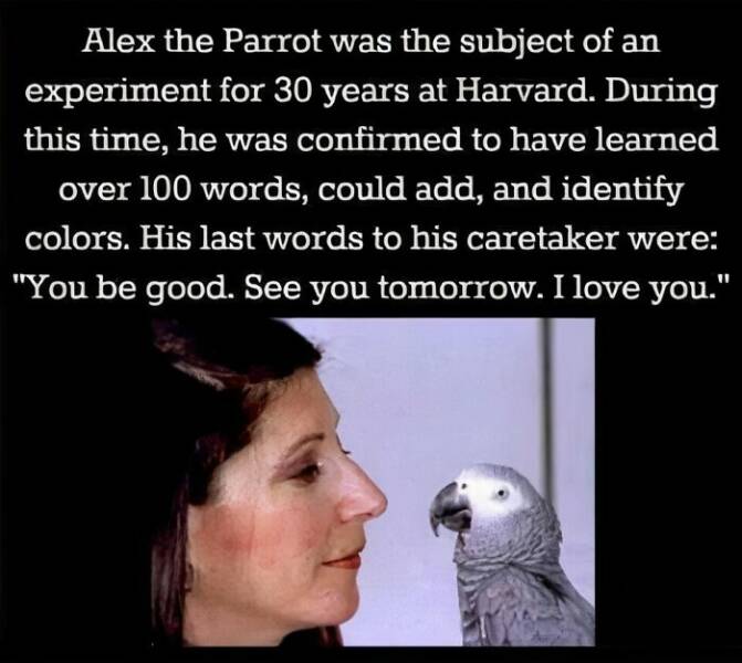 Feel-Good Pics And Stories To Lift Your Spirits