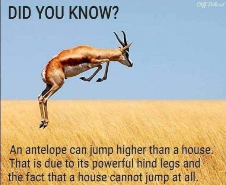 Funny Picdump