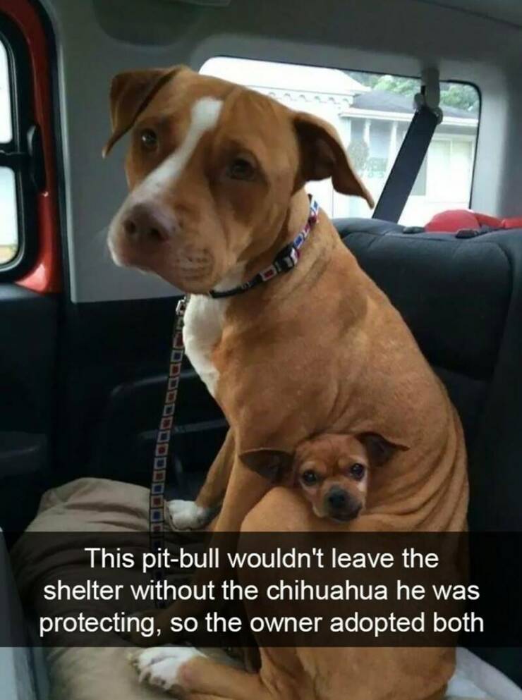 Funny Picdump Funny Picdump
