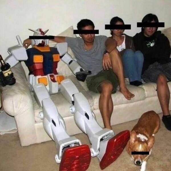 Pics That Completely Defy Common Sense