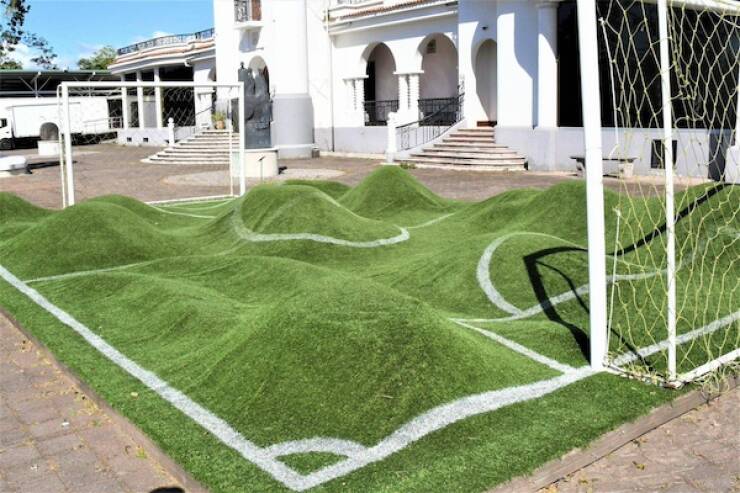 Pics That Completely Defy Common Sense