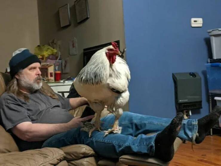 Pics That Completely Defy Common Sense