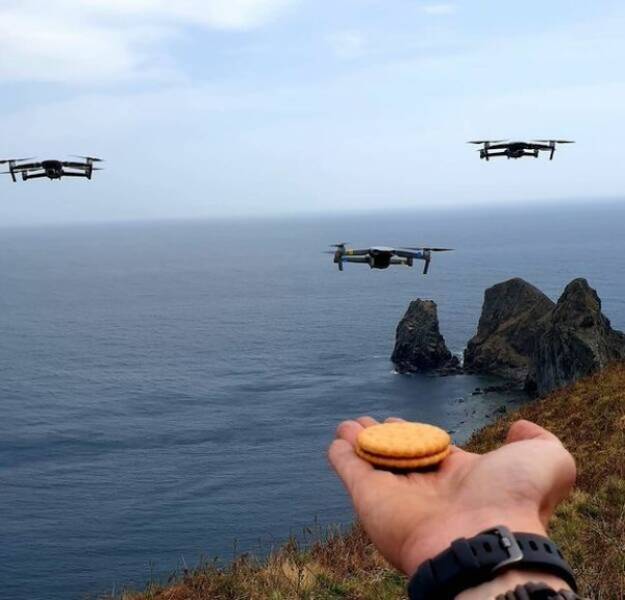 Pics That Completely Defy Common Sense