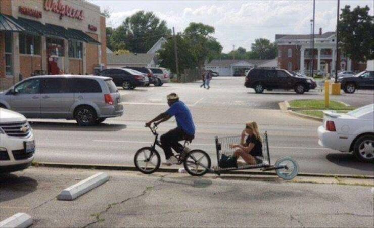 Pics That Completely Defy Common Sense