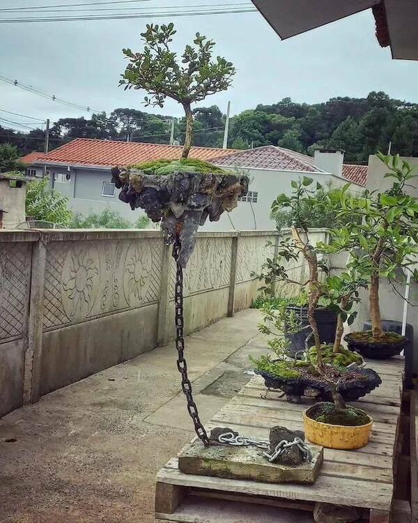 Pics That Completely Defy Common Sense
