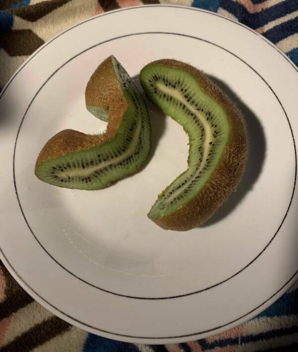 Pics That Completely Defy Common Sense