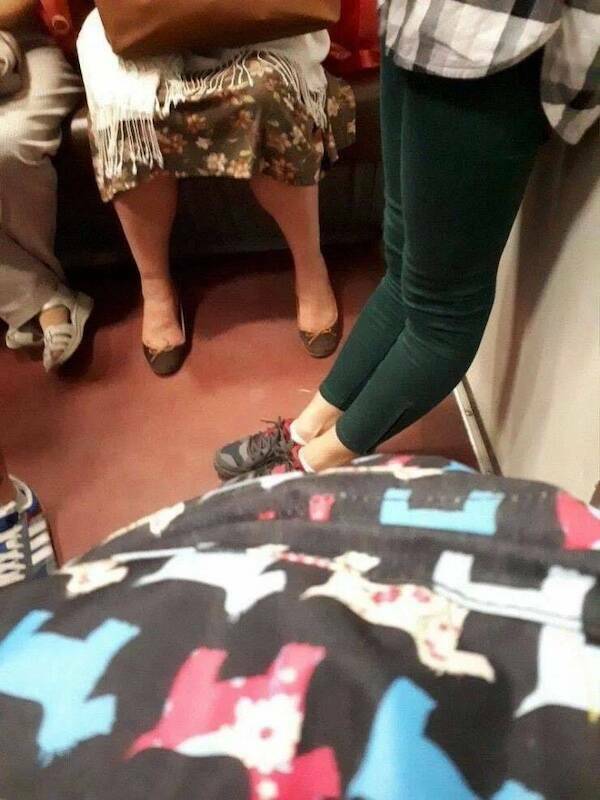 Pics That Completely Defy Common Sense