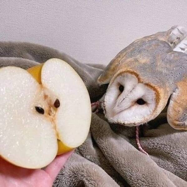Pure And Uplifting Images To Soothe Your Soul
