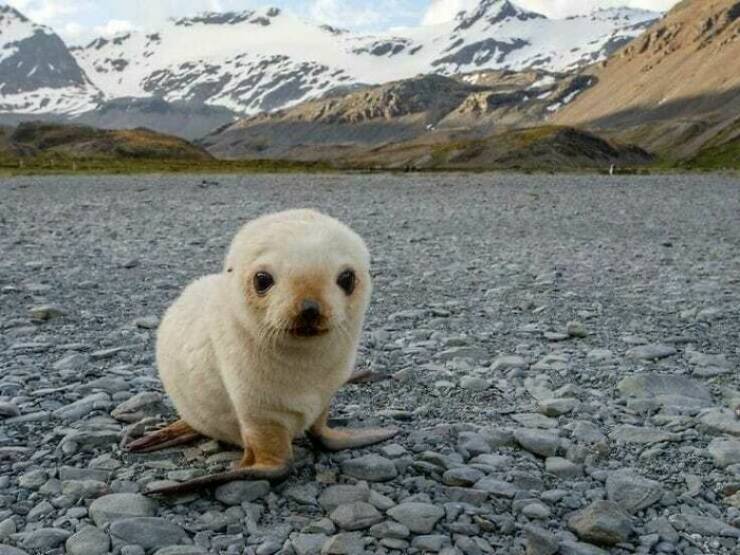 Pure And Uplifting Images To Soothe Your Soul