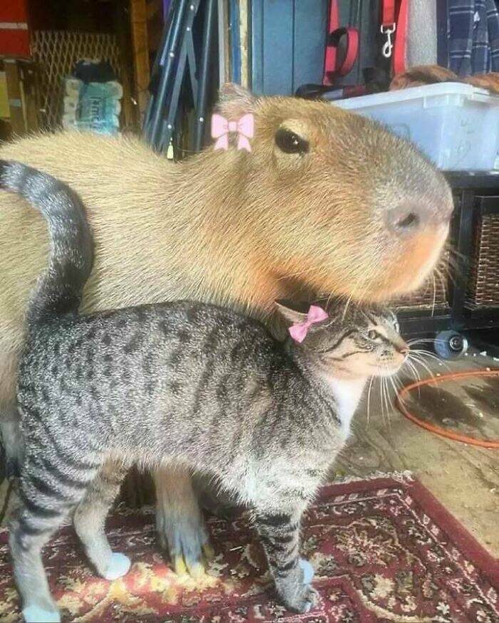 Pure And Uplifting Images To Soothe Your Soul