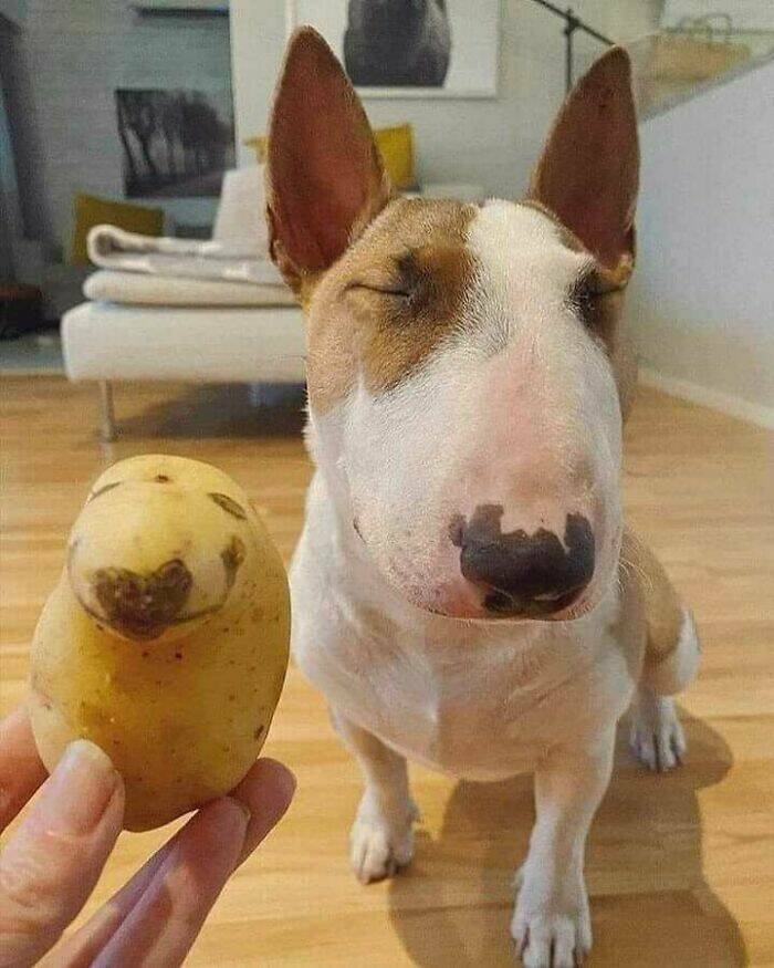 Pure And Uplifting Images To Soothe Your Soul