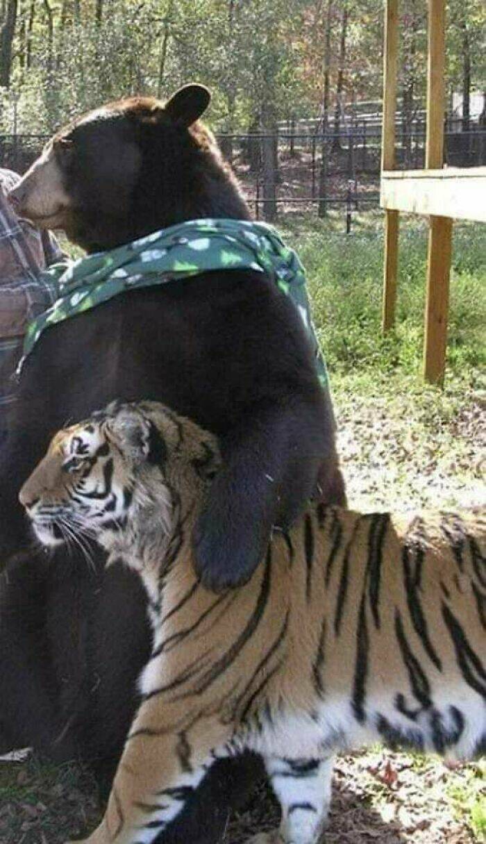 Pure And Uplifting Images To Soothe Your Soul