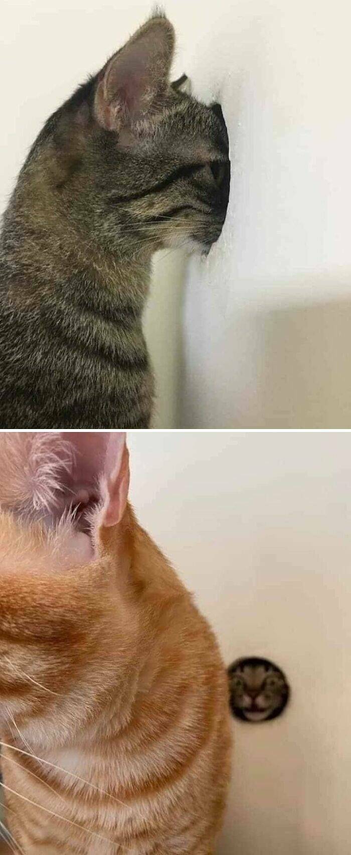 Pure And Uplifting Images To Soothe Your Soul