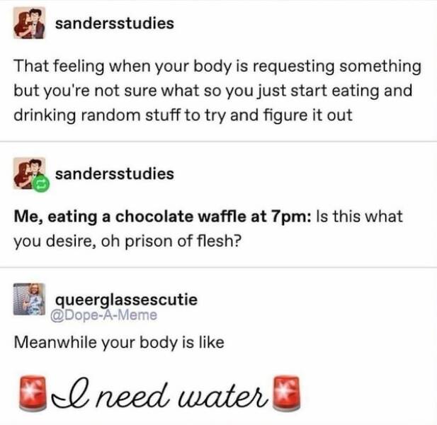 Scroll, Laugh, Repeat: Memes For The Always Connected