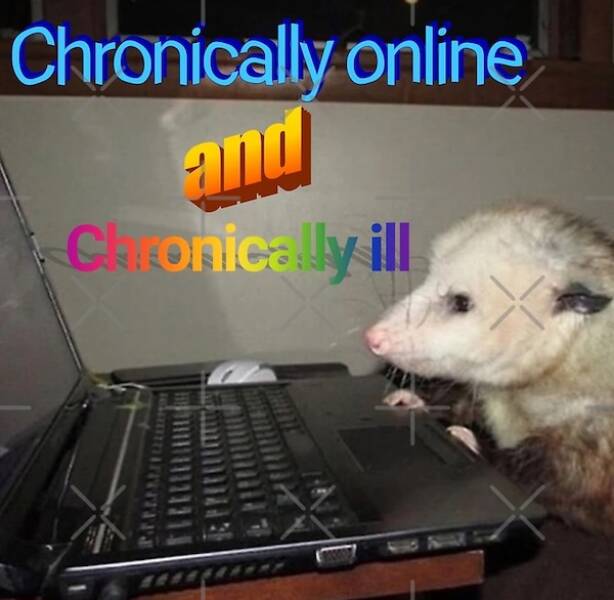Scroll, Laugh, Repeat: Memes For The Always Connected