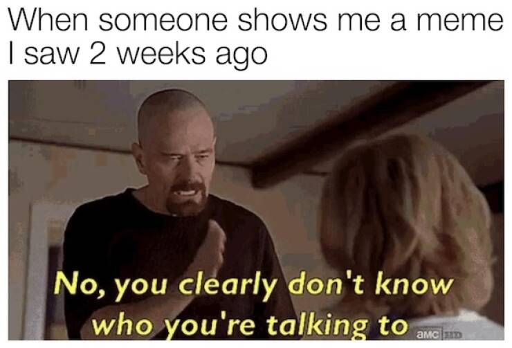 Scroll, Laugh, Repeat: Memes For The Always Connected