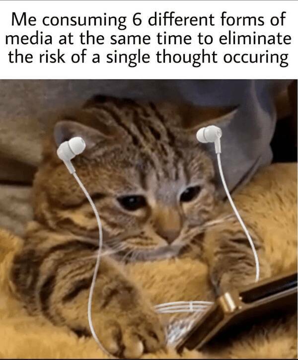 Scroll, Laugh, Repeat: Memes For The Always Connected