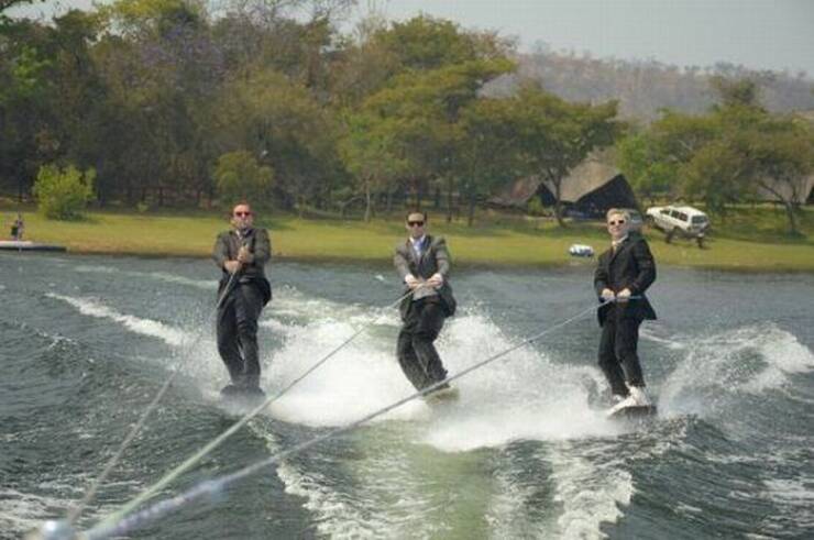 Daily Picdump