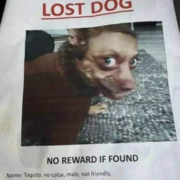 Daily Picdump
