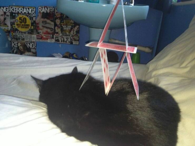 Daily Picdump